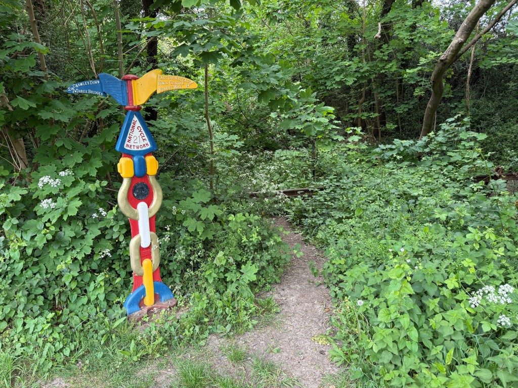 Lot: 37 - JUST UNDER FIVE ACRES OF FORMER RAILWAY LAND WITH POTENTIAL - Pathway through the land